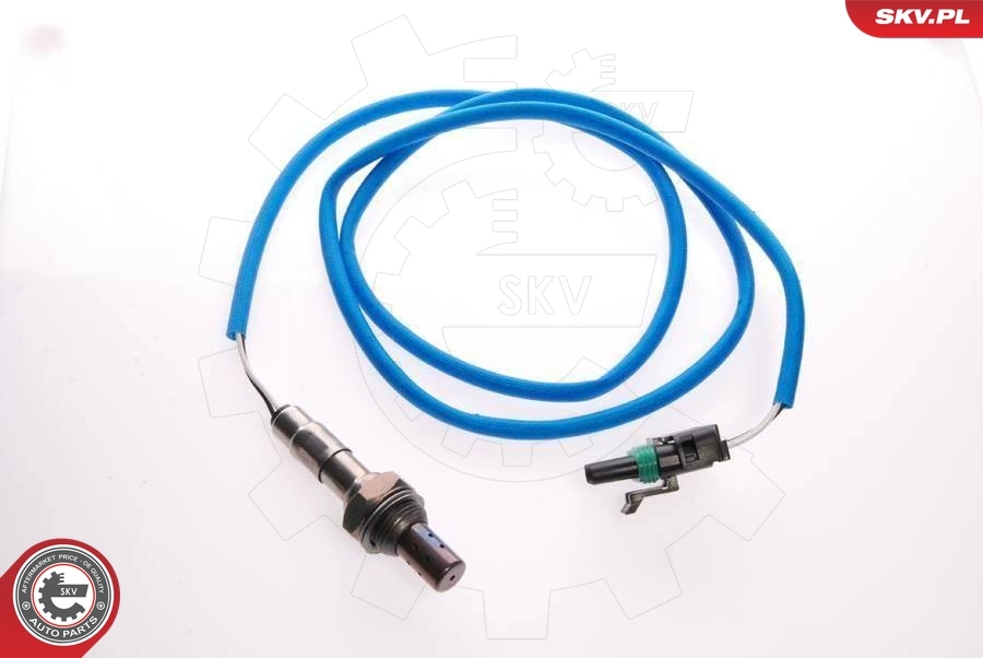 Oxygen Sensor
